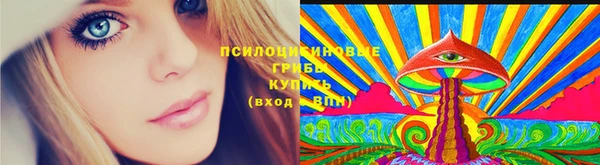 мдма Нефтекумск